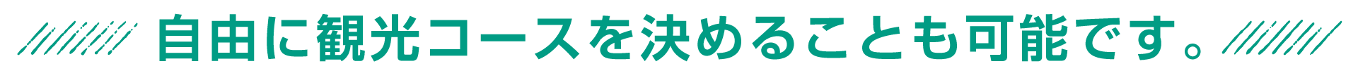 自由に観光コースを決めることも可能です